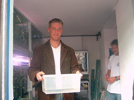 Jeg og mark drager hjemad mod Sjælland og turen hjem ligner turen derop; vi snakker og snakker om fisk, nej ikke om fisk, om Malawicichlider.