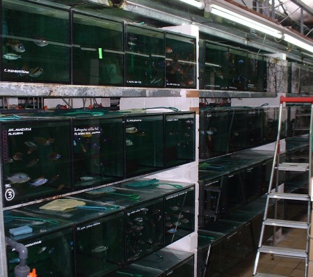 Én af mange reoler hos Mal-ta-vi