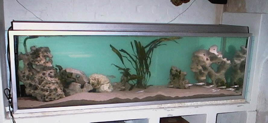 720 liters sandbunds akvarie