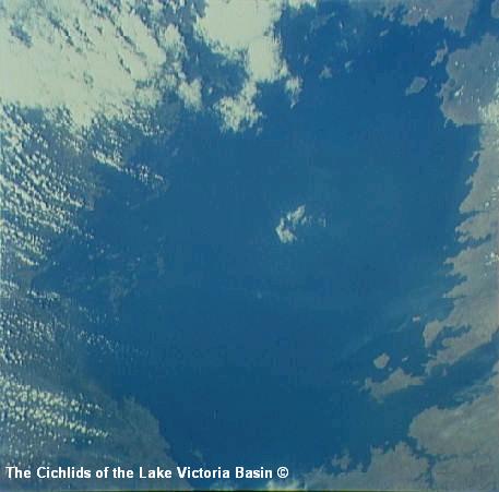 Satellitfoto af Victoriasøen