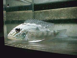 Foto: Joerg Albering