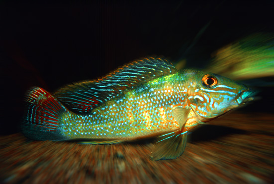 Foto: Pekka Katajisto