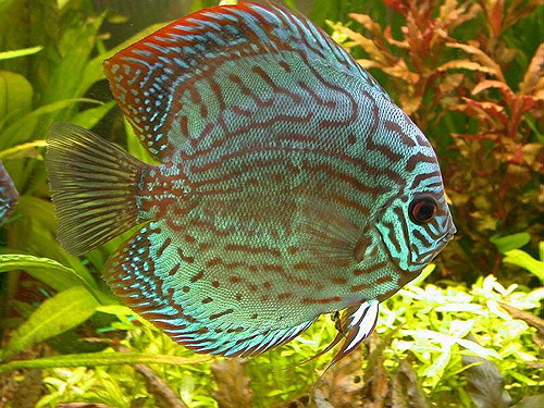 Fotograf: Geir Rolfsnes