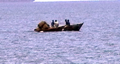 På vej ud med nettet. 