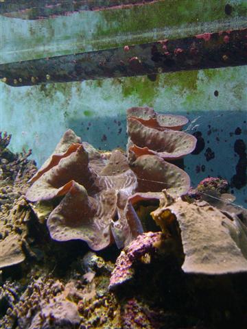 Copyright Erik Nielsen 