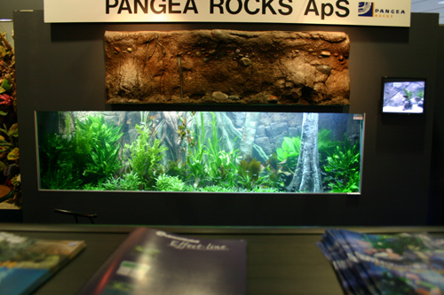 3.000 l. Amazonas akvarium med Diskus og 300 stimefisk.