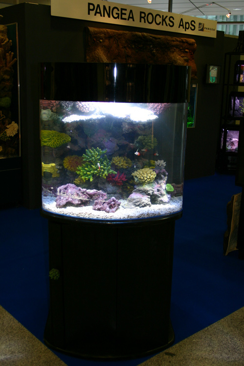 420 l. Acryl akvarium med saltvandsfisk og Pangea koraller.