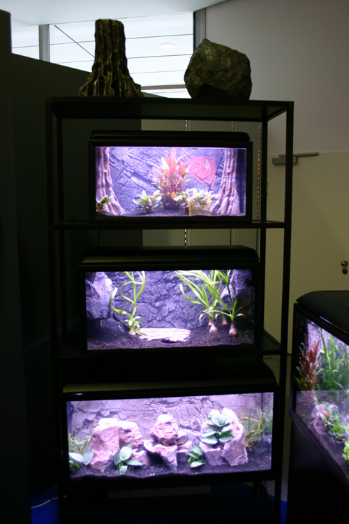 En reol med 180 l. + 128 l. + 85 l. med prydsfisk.