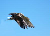 <a href=/_test/exif.cfm?ID=D:/www/akvariefisk.dk/storage/debatten/56F4A707-F02D-C5CB-2849A554584BCACF.jpg>Exif data</a>